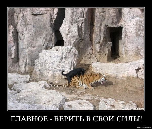 Главное верить в свои силы Главное верить в свои силы