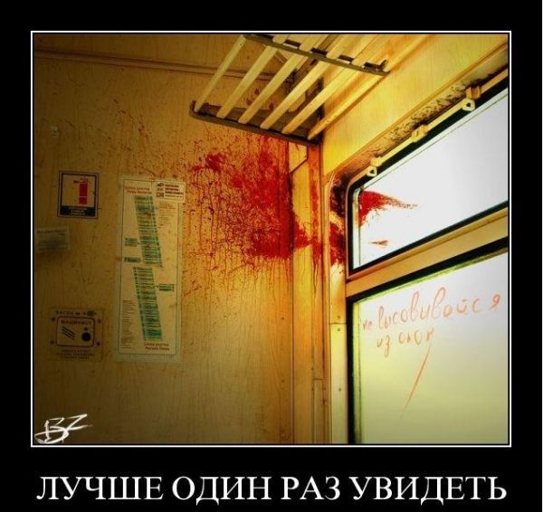 лучше один раз увидеть лучше один раз увидеть
