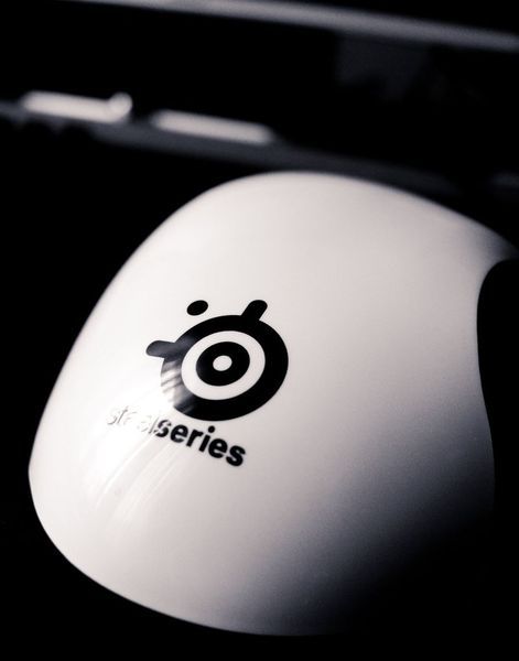 попа грызуна 2 попа грызуна 2